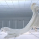 Image for article titled Latex, Sex & A Burning Sensation: An Analysis Of Lady Gaga's New Vid